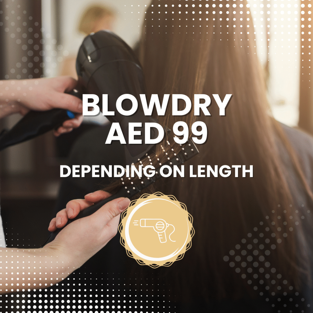 BlowDry